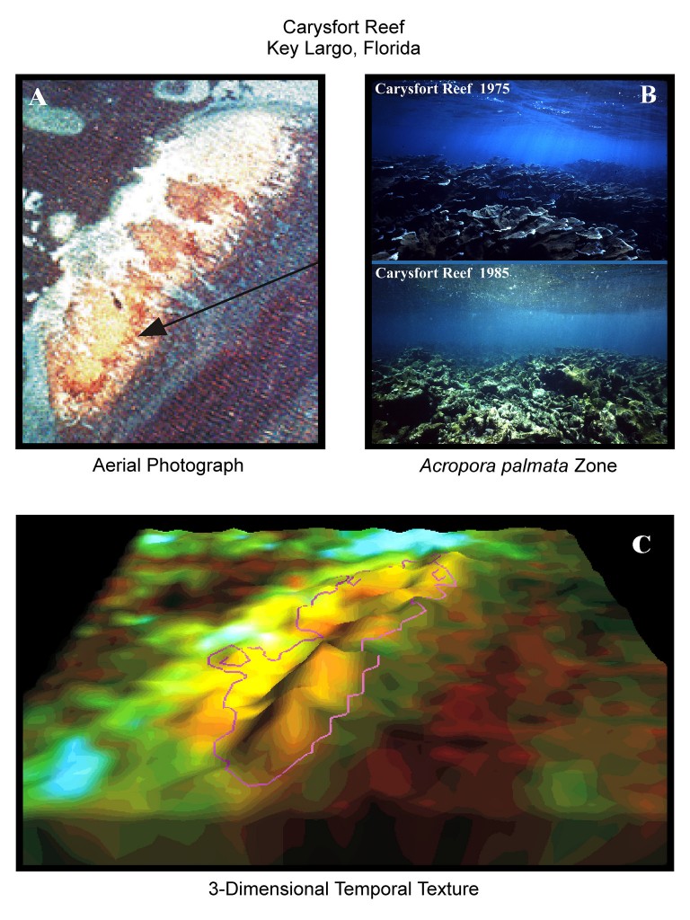 The Coral Reef Satellite Mission - From Sea To Space - Biosphere Foundation