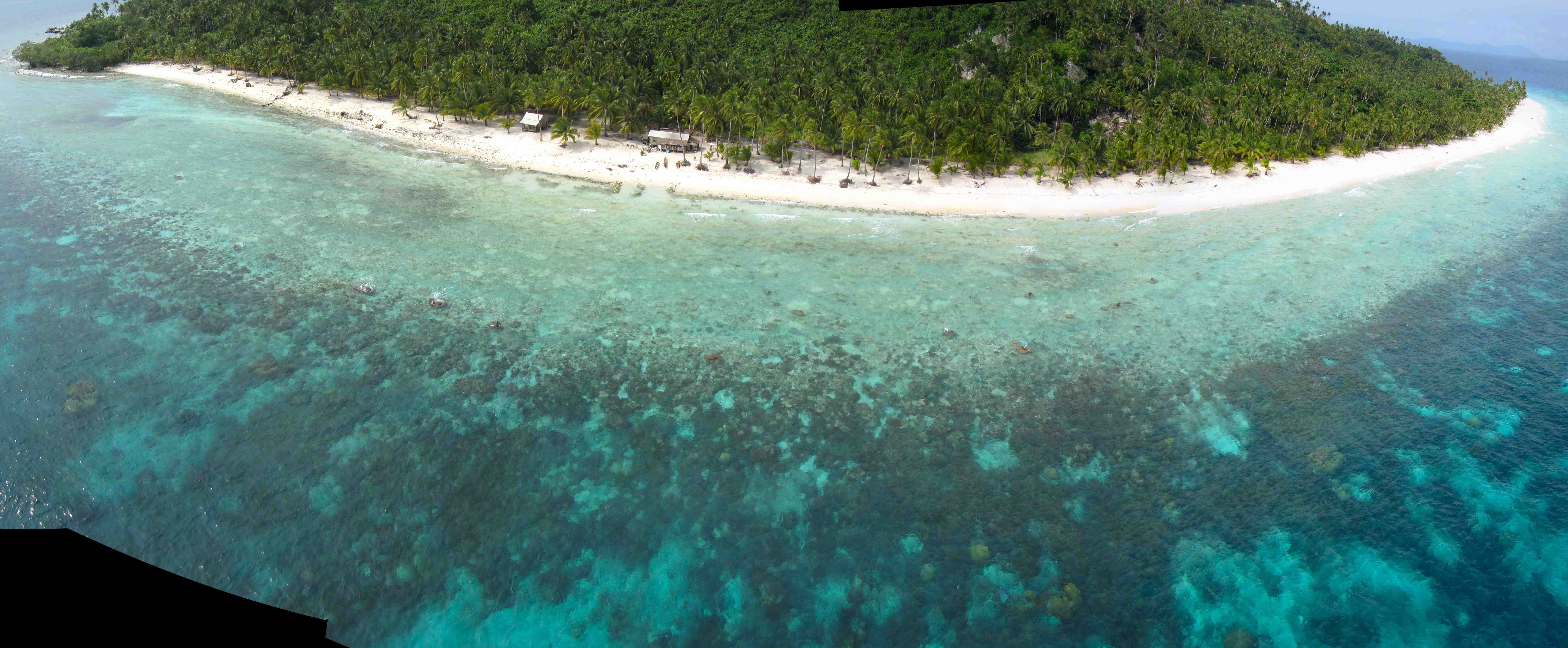 Fringing Coral Reef