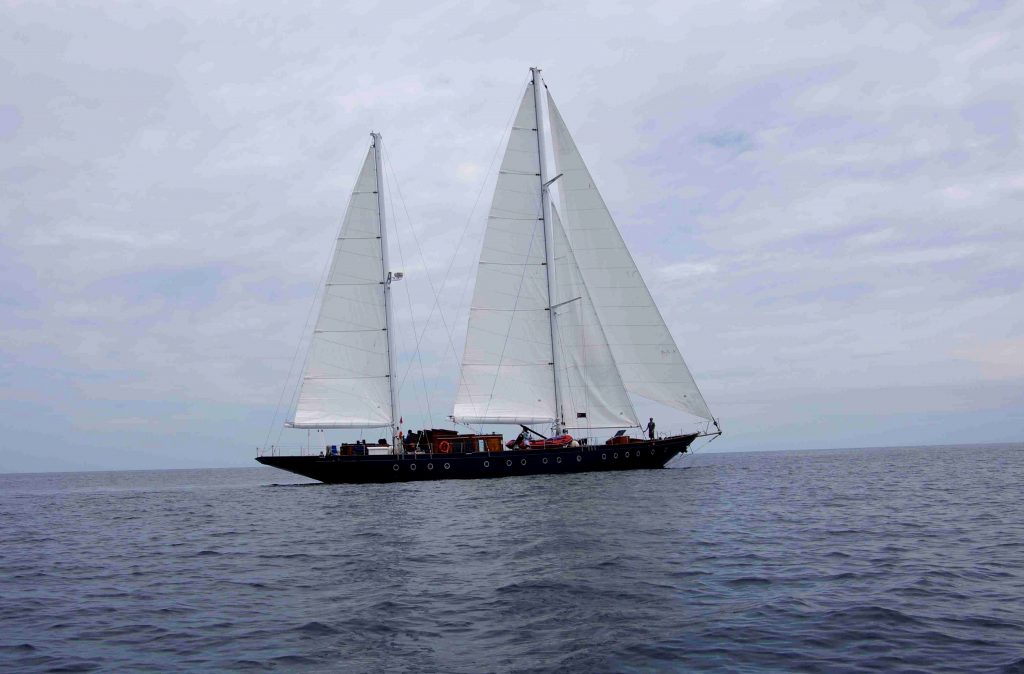 Парусное судно 4 буквы. Sailing Vessel. Sail Vessel.