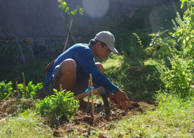 Permaculture Workshop